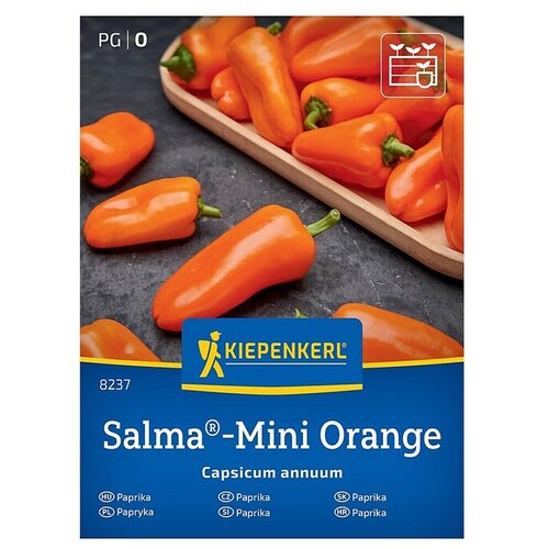 KIEPENKERL Zelenjavna semena Paprika Salma Mini Orange (Capsicum annuum, Čas žetve: Julij) Cene