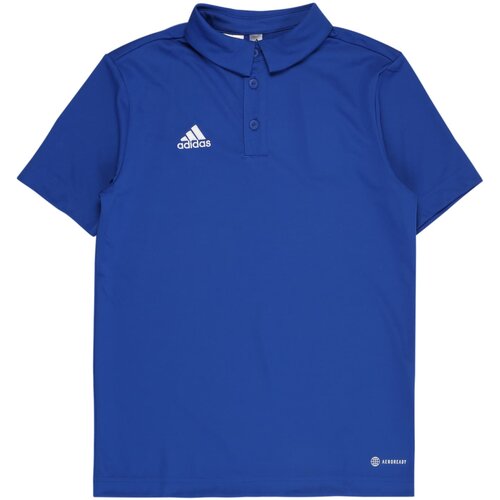 Adidas Tehnička sportska majica 'Entrada 22' kraljevsko plava / bijela Cene