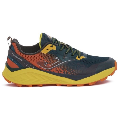 Joma Nizke superge Tundra pisana Cene