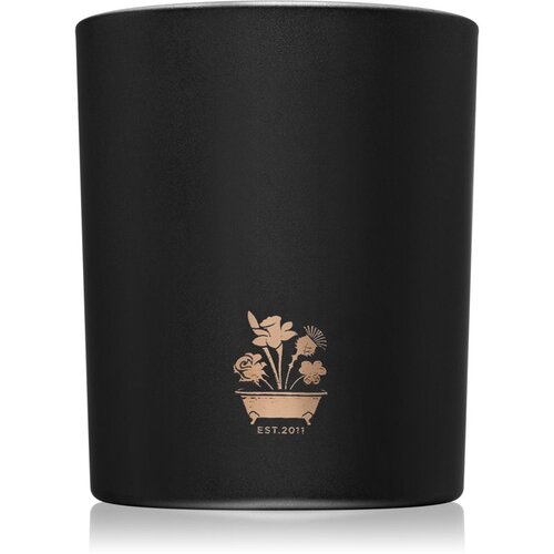 Noble Isle Willow Song mirisna svijeća 200 g Cijene