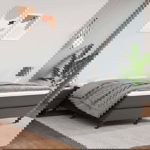  Box spring postelja z vzmetnico siv 120x200 cm umetno usnje, (20725000) Slike