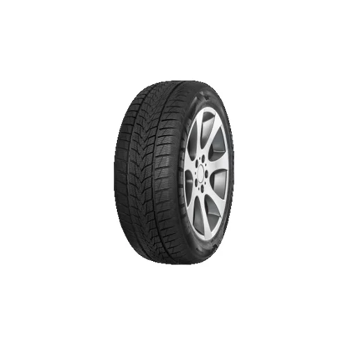 Minerva Frostrack UHP ( 205/55 R16 91H )