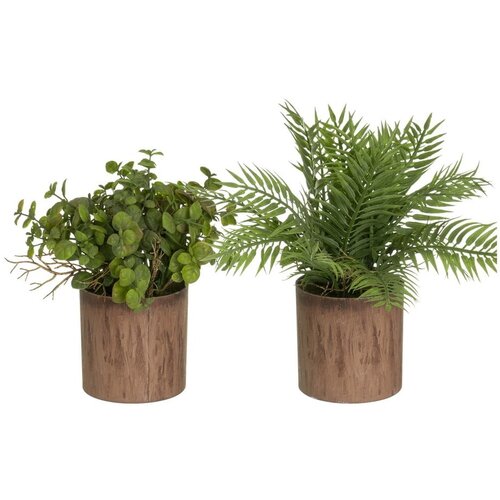 Casa Selecci&amp;oacute;n Umetne rastline v kompletu 2 ks (vi&amp;scaron;ina 22 cm) &amp;ndash; Slike
