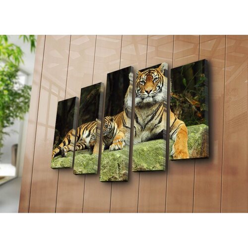 Wallxpert slika na platnu od 5 delova 5NATPAT-38, tigrica sa mladunčetom na steni, 70 x 105 cm Cene