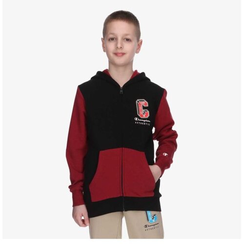Champion Hooded sweatshirt Cene