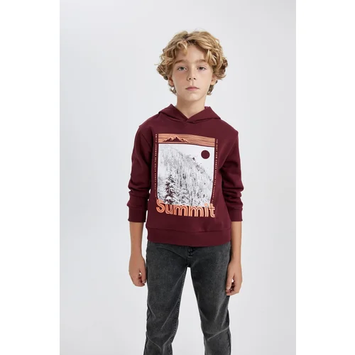 Defacto Boy's Hooded Printed Thick Sweatshirt