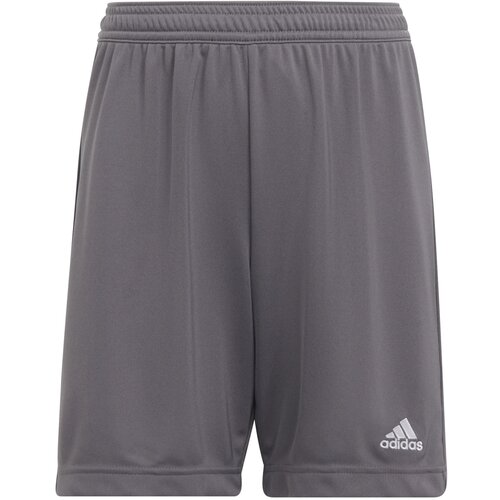 Adidas Sportske hlače 'Entrada 22' tamo siva / bijela Cijene