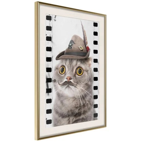  Poster - Dressed Up Cat 20x30