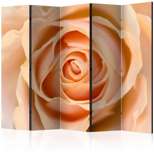  Paravan u 5 dijelova - Peach-colored rose II [Room Dividers] 225x172 Cijene