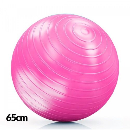  Df lopta za pilates 65cm pink Cene