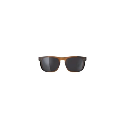 Izipizi Naočale Zenith Polarized L hazel cat 3 Cijene