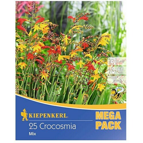 KIEPENKERL Lukovice ljetnog cvijeća (Crocosmia, 25 Kom.) Cijene