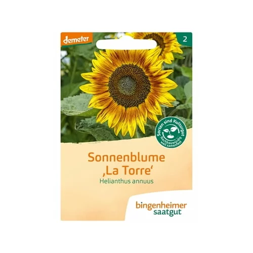 Bingenheimer Saatgut sončnica večcvetna