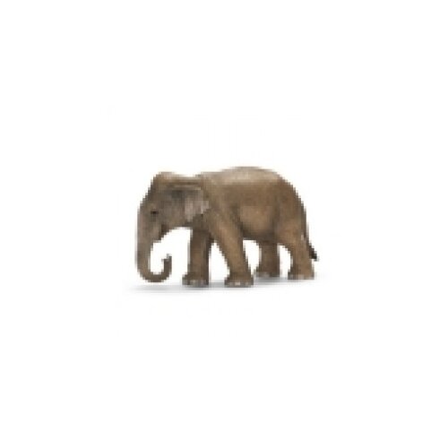 Schleich dečija igračka azijski slon, ženka 14654 Cene