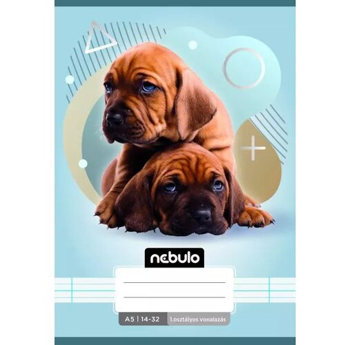  Nebulo: črtasti zvezek 14 - 32, A5 - različni Slike