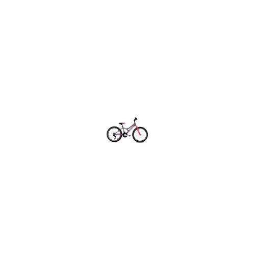 Capriolo mtb diavolo 400 24 18HT sivo-pink 13 (920303-13) muški bicikl Cene