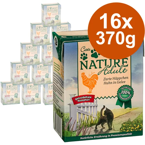 Best Nature Varčno pakiranje Adult Cat 16 x 370 g - Mešano pakiranje (4 vrste)