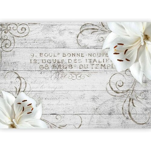  Foto tapeta - Bonne Nouvelle 250x175 Slike