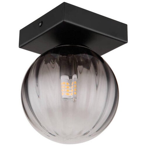 Globo Dallerta Okrugla zidna svjetiljka (10 W, &amp;Oslash; x V: 12 x 15 cm, G9) Slike