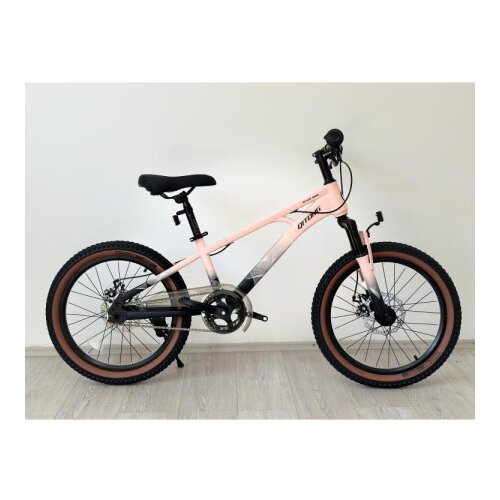  dečiji bicikl 20" ql-pink (BCK0800) Cene