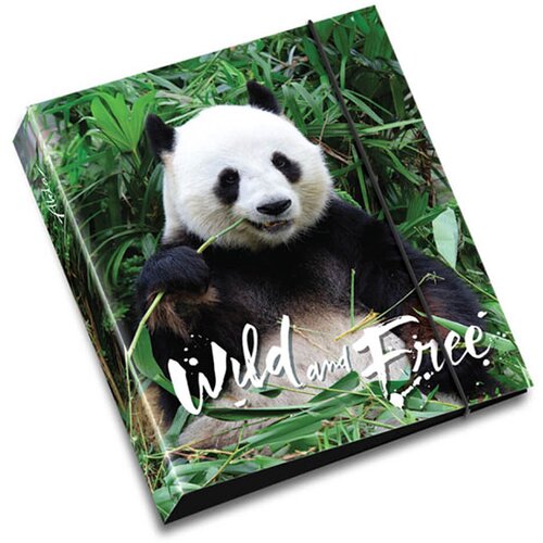 Akta Mapa – Ego, A4, z mehaniko, Pandica Cene