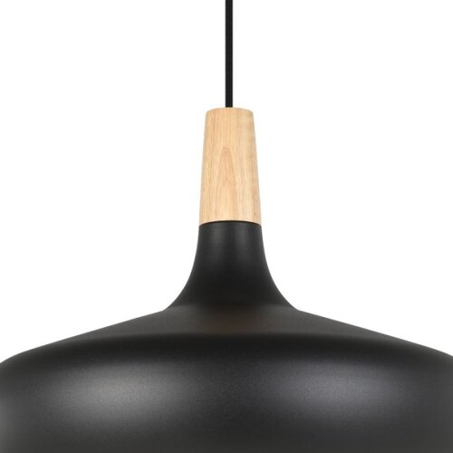 Eglo Viseća lampa sabinar 900163 Slike