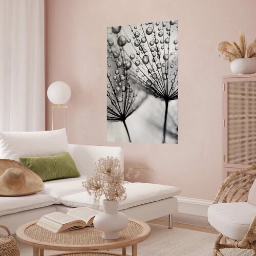  Plakat Macro Dew 29.7x42 Cijene