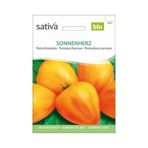 Sativa Mesnati paradižnik, srce sonca Slike