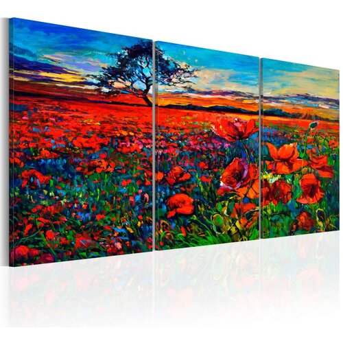  Slika - Valley of Poppies 120x60 Slike