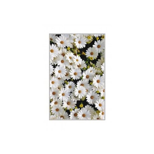 Conceptum Hypnose tepih (180x280) HMNT521 Slike