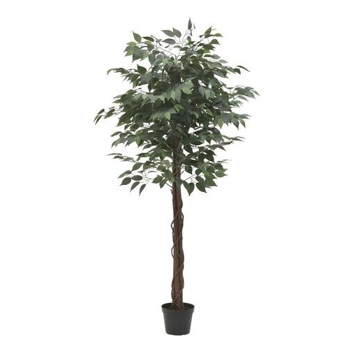  CVIJEĆE PVC ZELENO H180CM Slike