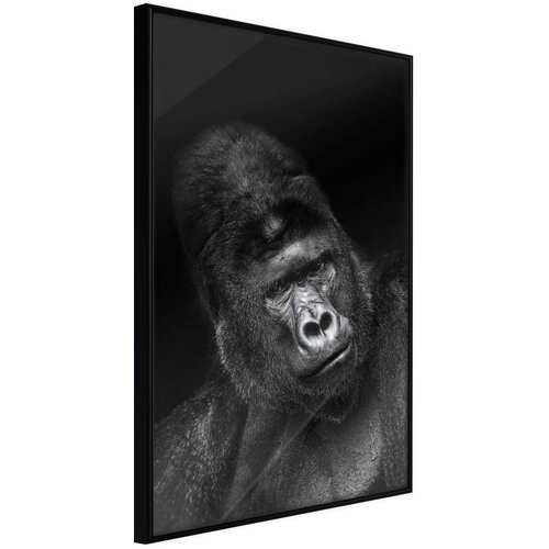  Poster - Intelligent Gaze 20x30 Cijene