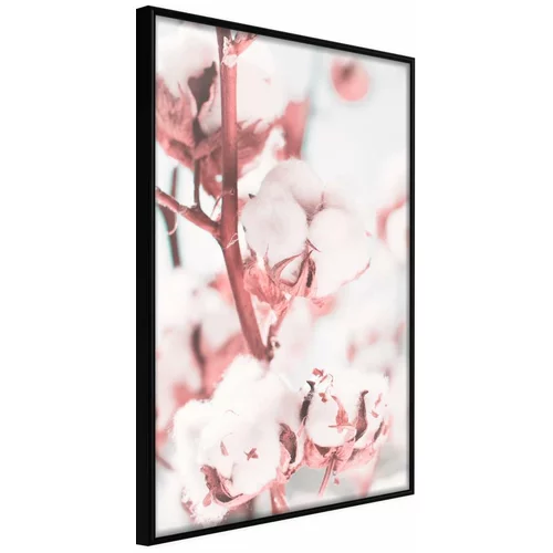  Poster - Cotton Flowers 40x60