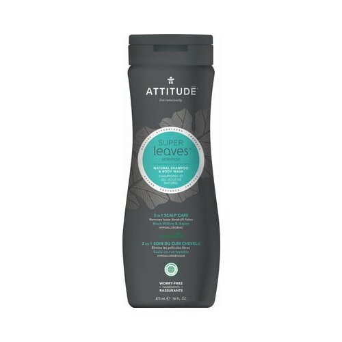 Attitude super Leaves MEN 2in1 Shampoo &amp;amp; Body Wash Scalp Care Slike