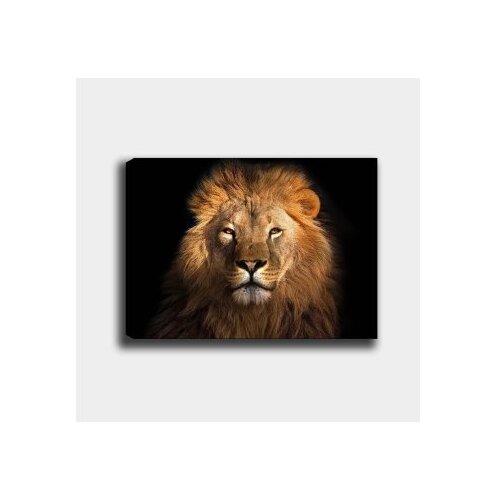 WALLXPERT &scaron;areno dekorativno platno za slikanje 70x100 cm Cene