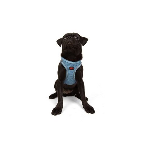 Paws &amp;amp; Whiskers Am za pse Air Mesh Blue 3XS Slike