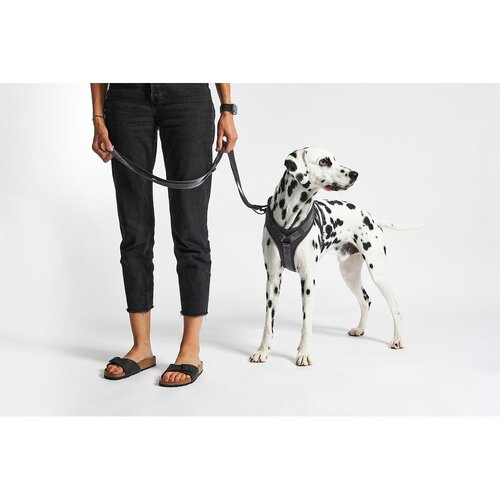 MiaCara Tamno sivi uprtač L dužina 42 cm Modena Asphalt L &amp;ndash; Slike