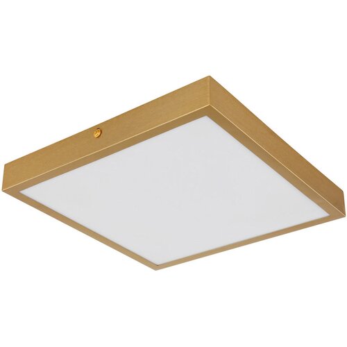Lesnina-XXXL stropna led-svetilka 25/25 cm Cene