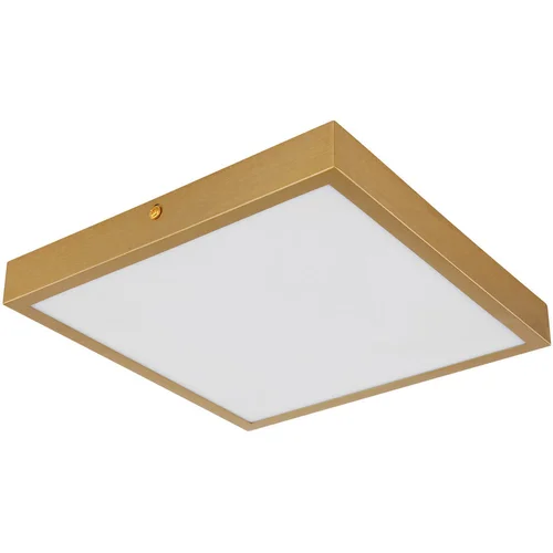 XXXL STROPNA LED-SVETILKA 25/25 cm