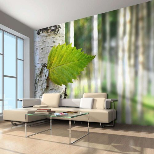  Tapeta - Birch leaf 200x154 Cijene