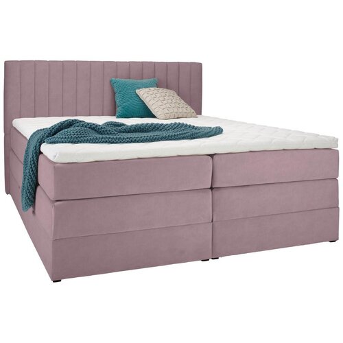 Premium Living Postelja Boxspring Simon, Rožnata,160x200 Cene