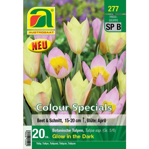 AUSTROSAAT Botanični tulipani "Glow in the Dark" - 20 čebu. Cene