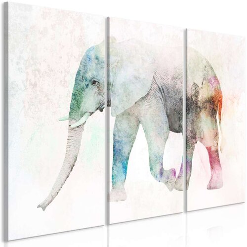  Slika - Painted Elephant (3 Parts) 120x80 Cene