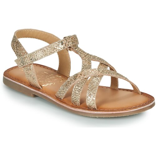 Mod&amp;#039;8 canisa gold Slike