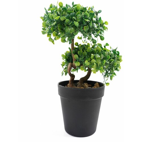 Lilium dekorativni bonsai 33cm 567316 Cene