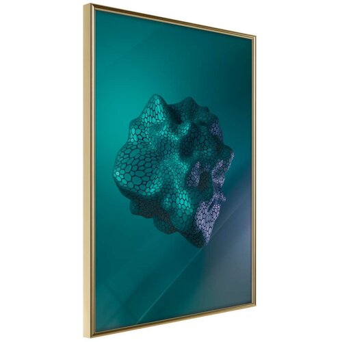  Poster - Sea Fossil 40x60 Slike