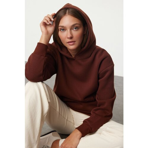 Trendyol Brown Hooded Regular/Normal Pattern Knitted Sweatshirt Slike