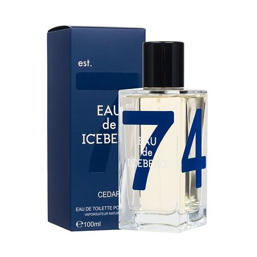 Iceberg EAU DE 74 CEDAR 100 ML Cene