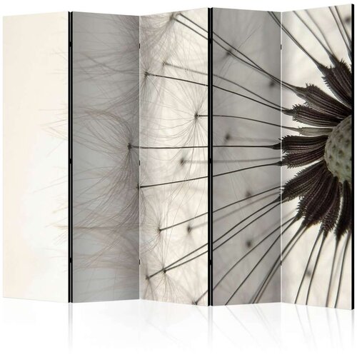  Paravan u 5 dijelova - Dandelion seed head II [Room Dividers] 225x172 Slike