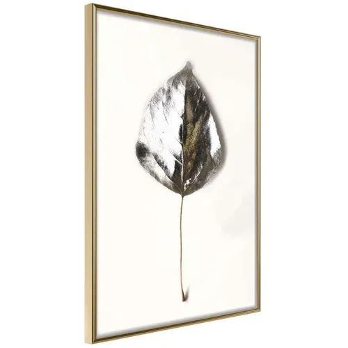  Poster - Silvery Leaf 40x60